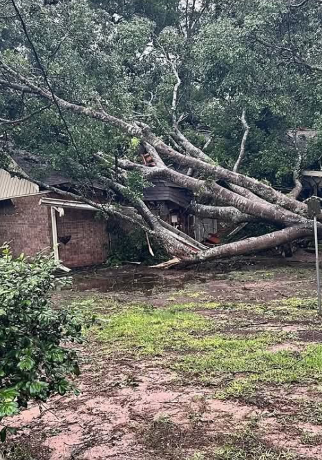 storm damage